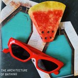 Reagan Sunglasses in Red